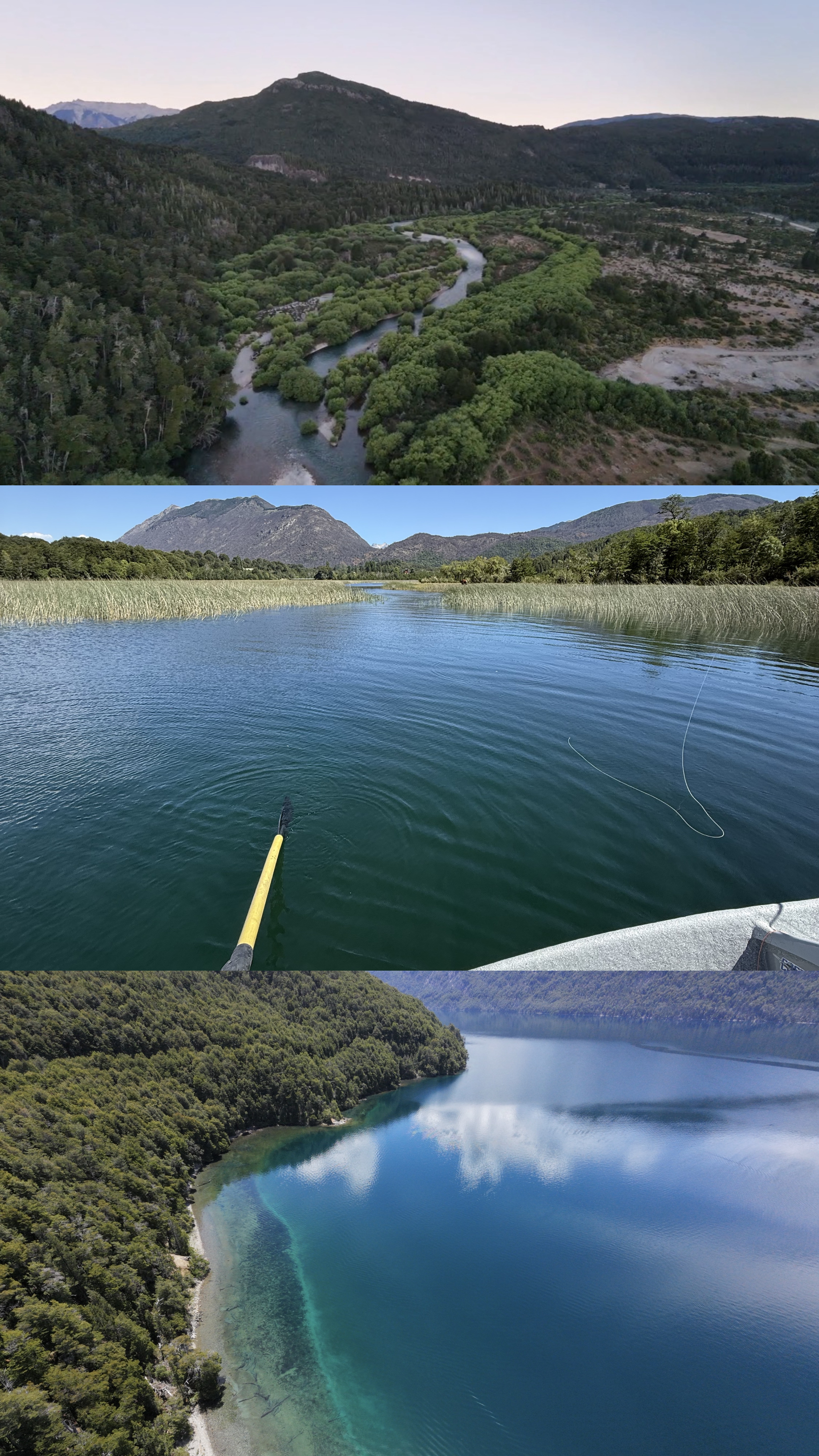 Fly fishing rivers in Patagonia